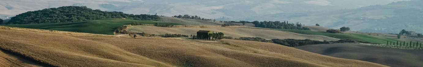 A pastoral scene with rolling hills and fields